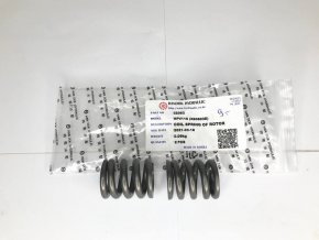 COIL SPRING (4179181) PN:32063 Пружина